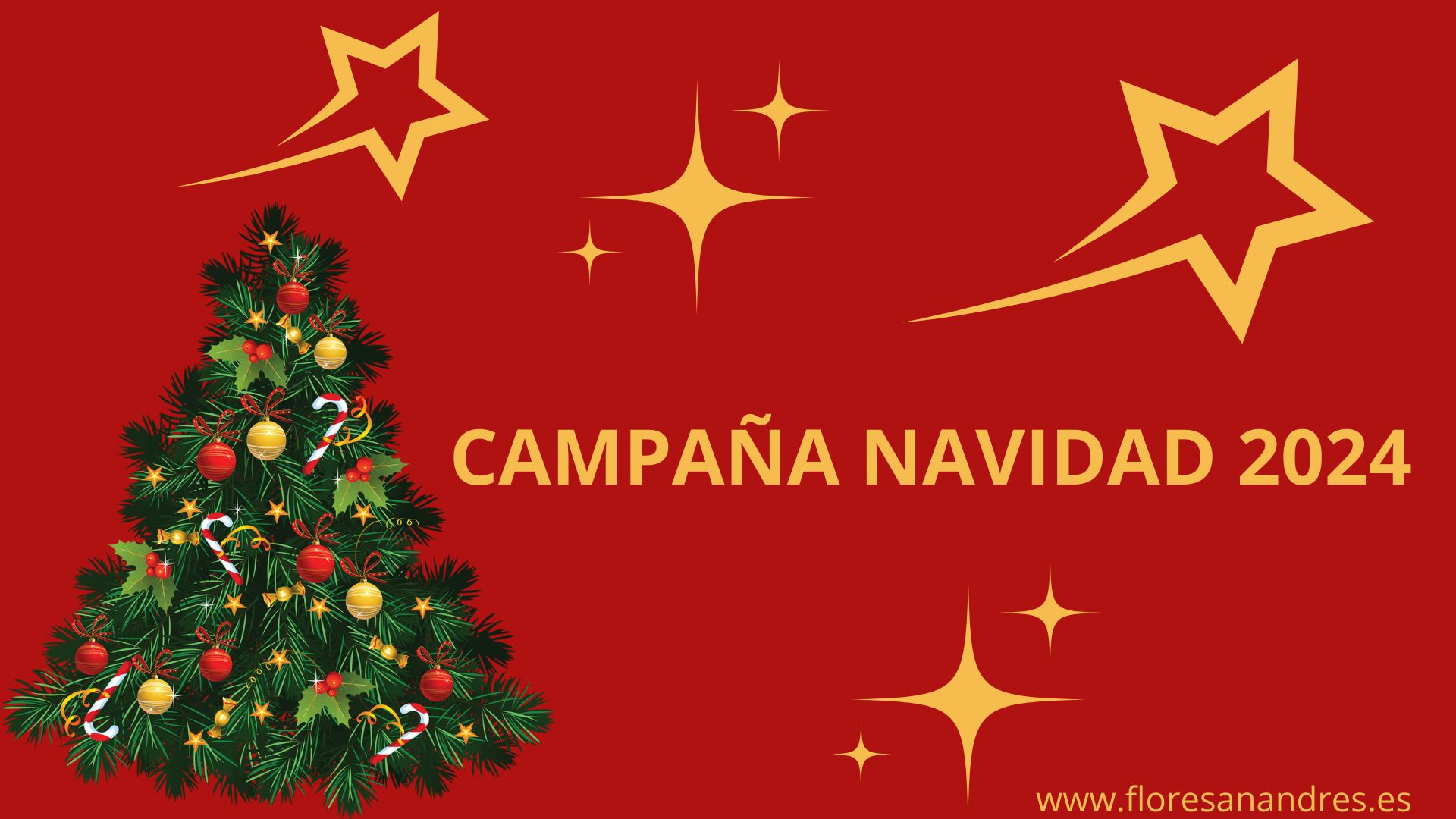 CAMPAÑA NAVIDAD 2024