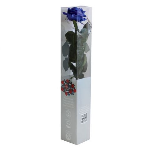  ROSA PREMIUM AZUL *PRZ/7630