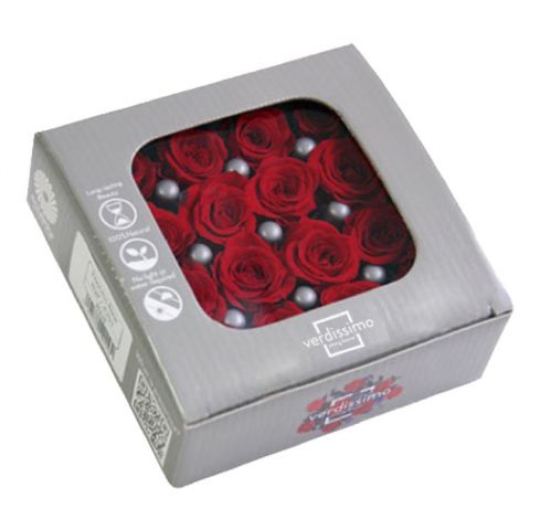  ROSA PRINCESA ROJO RSP4200