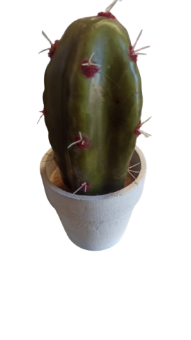 MACETA CACTUS 57541