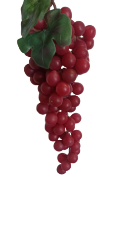 M22/3 FRUTAS UVAS PEQUEÑAS * ROJA