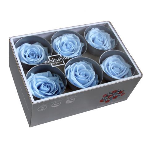 ROSA STANDARD CAJA 6 UNDS *CELESTE BEBÉ RST/2640