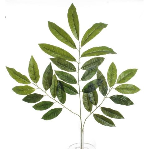 HOJA LAUREL VERDE 2160