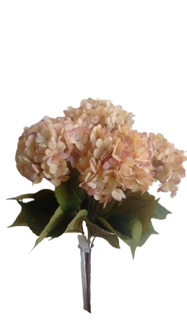 RAMO HYDRANGEAS *CORAL 6460-24