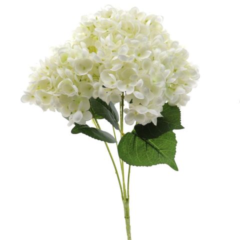 RAMO HYDRANGEAS *BEIGE 6460-31