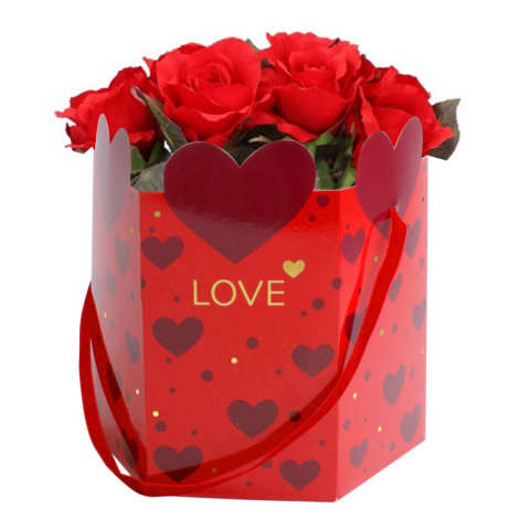 PAQUETE 10 UND BOLSA ADORE LOVE ROJO 17X15CM 