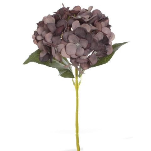 VARA HORTENSIA *MALVA 3104