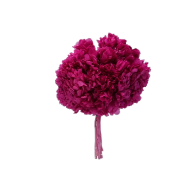 HORTENSIA PRESERVADA* FUCSIA 000.740.45