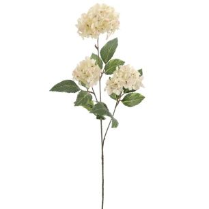 VARA HORTENSIA X3 *CREMA 4500-01