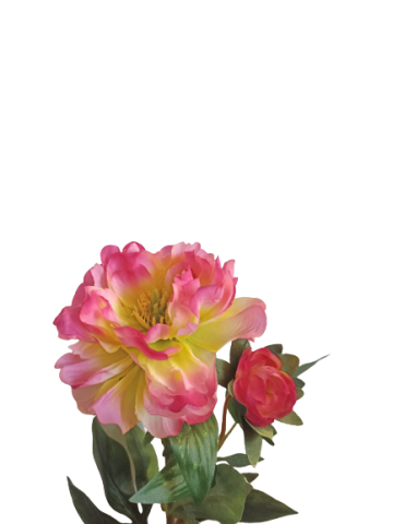 VARA PEONIA *FUCSIA 4645-07