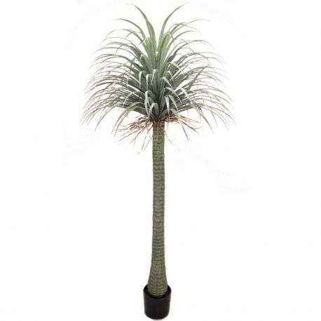 PLANTA BEUCARNEA 210CMS *VERDE 7143-09