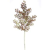 VARA SEDUM *BURDEOS 7236-17