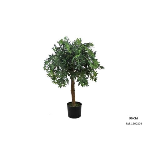 PLANTA ARCE 90 CMS 1500203