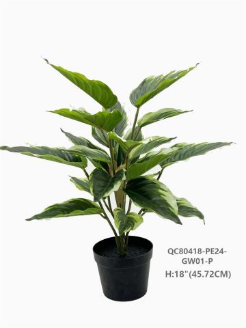 PLANTA DRACENA 45*72 MU-0418