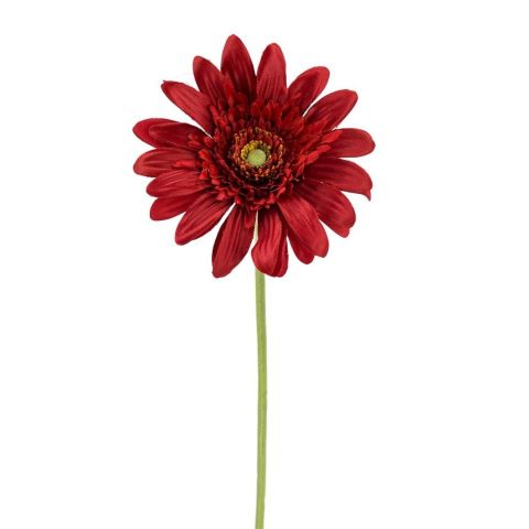 VARA GERBERA *ROJA F660/5