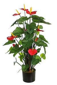 PLANTA ANTHURIUM 80CM *ROJO B227TB