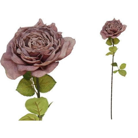 VARA ROSA DRIED 66CM *VIOLETA *208343