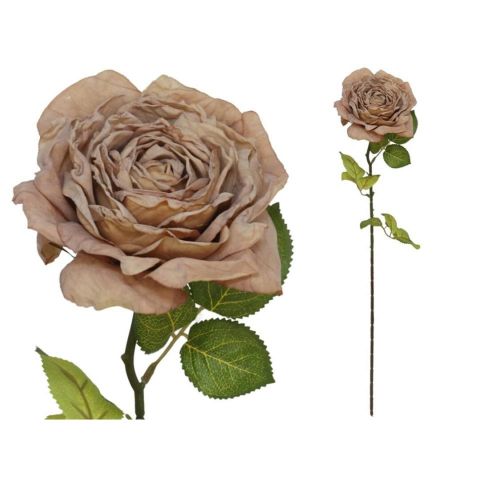 VARA ROSA DRIED 66CM *CAFÉ 208312