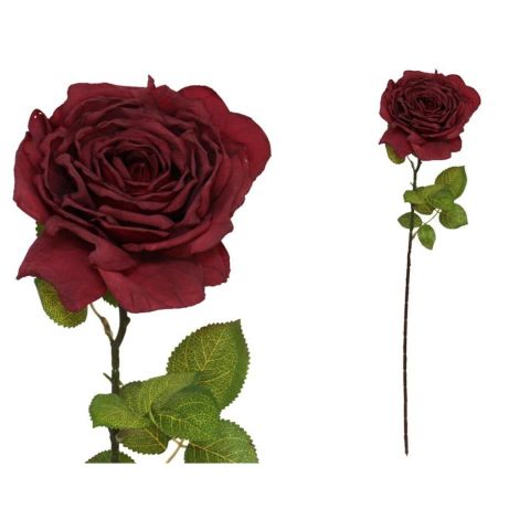 VARA ROSA DRIED 66CM *ROJO *208329