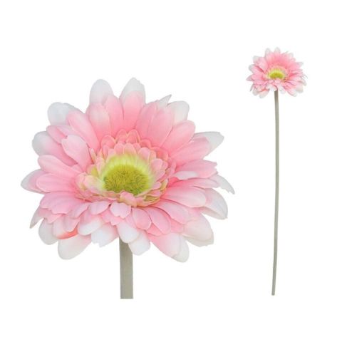 VARA GERBERA MICRO-12CMS/52CMS *ROSA 27719