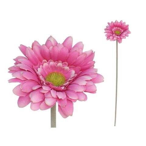 VARA GERBERAS MICRO-12CMS /52CMS*FUCSIA 27726