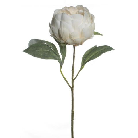 VARA PEONIA *BLANCO 7566