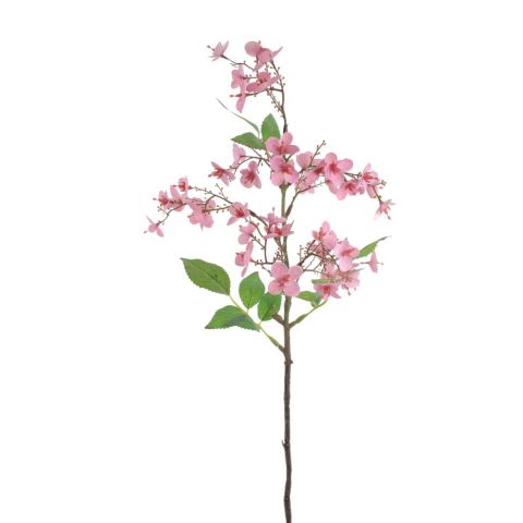 VARA ROBINIA *ROSA 2347-12