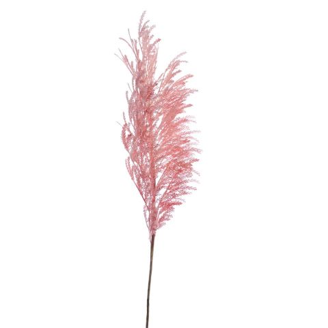 VARA PAMPAS GRASS *ROSA 7639-12