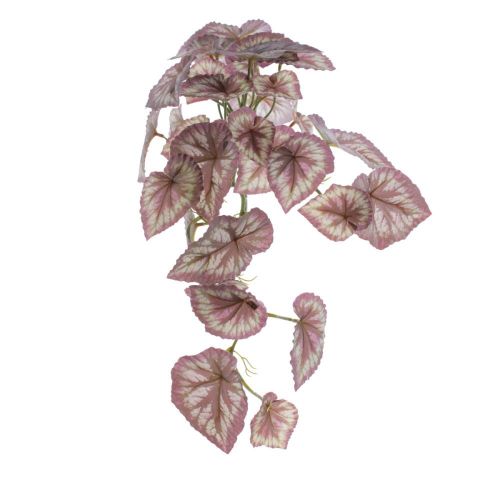 COLGANTE BEGONIA *NATURAL 4128-50