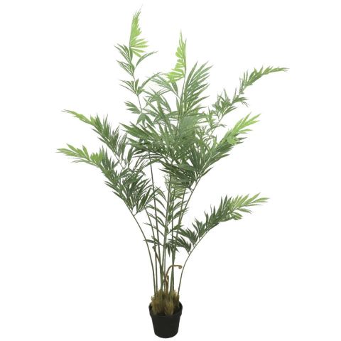 PLANTA ARECA CARYOTA 180 CMS 7507-09