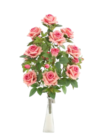 RAMO MATA ROSAL X16 *FUCSIA MC-9252-10