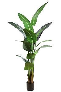 PLANTA PLATANERA ARTIFICIAL 195 CMS KD9258