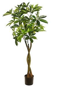 PLANTA PACHIRA ARTIFICIAL  150 CMS AD0653.10