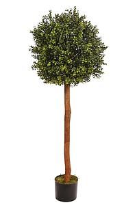 ARBOL BOJ 140 CMS B234TD