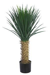 PLANTA AGAVE CACTUS CON MACETA 94 CMS TVB109TF