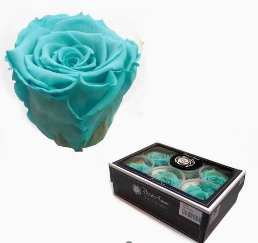 ROSA PRESERVADA ROSE AMOR*BLU-02 (VERDEAGUA)