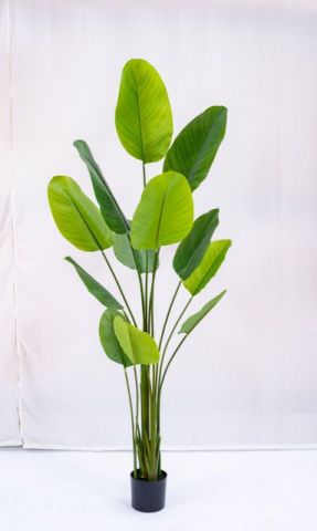 PLANTA ARTIFICIAL 200CM *0931862