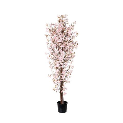 ARBOL ALEMENDRO 1.80MT *ROSA *99111214-16