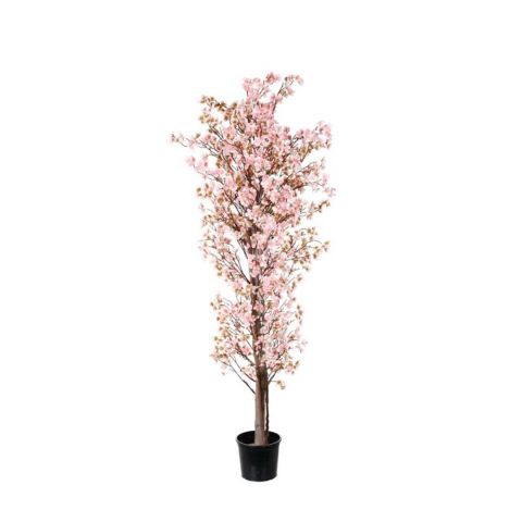 ARBOL ALMENDRO 1.80MT *CREMA  99111214-9