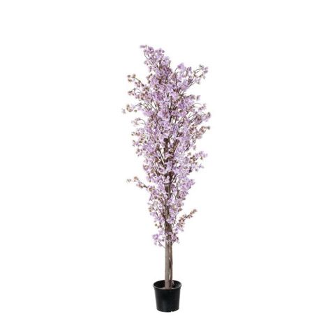 ARBOL ALMEMDRO 1.80MT *LAVANDA *99111214-24