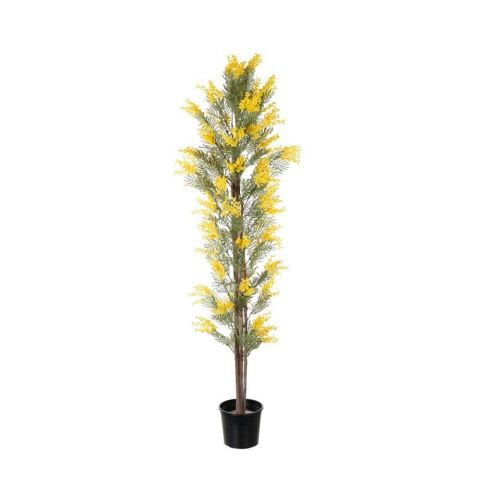 ARBOL MIMOSA 1.80MT *AMARILLO *99111213-3