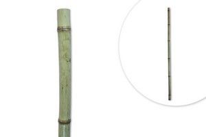 TUTOR BAMBU NATURAL 90CM *69179