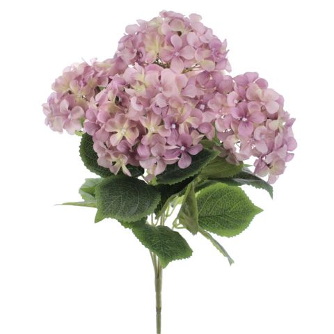 RAMO HYDRANGEAS *MALVA 5453-06