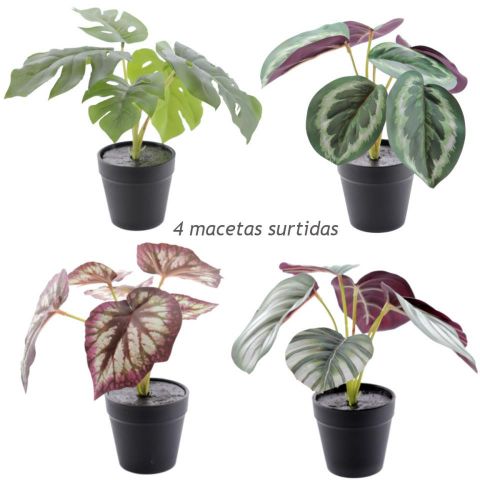 PLANTA SURTIDAS X4 MODELOS *6153-48