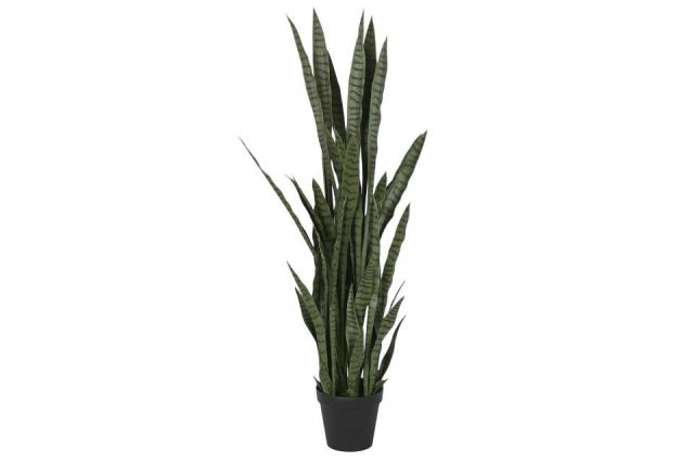 PLANTA PE PP 40X40X150 SANSEVIERIA VERDE JA-209831