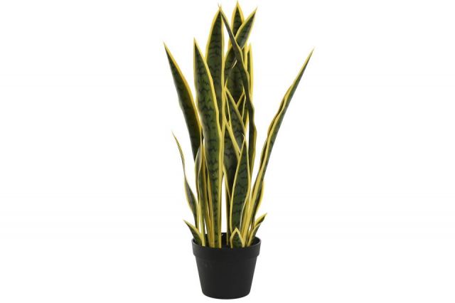 PLANTA PE PP 30X30X74 SANSEVIERIA VERDE JA-209830