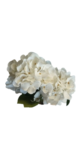 RAMO HORTENSIA X5-46CM CREMA 230528