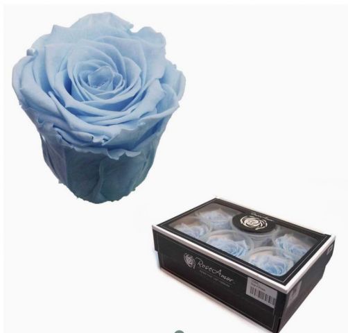 ROSAS PRESERVADA ROSE AMOR XL*BLU-89