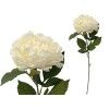 VARA PEONIA 80CM CREMA 274508