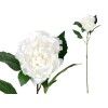 VARA PEONIA 80CM BLANCO 273914